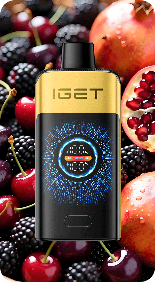 IGET Falcon – Blackberry Cherry Pomegranate