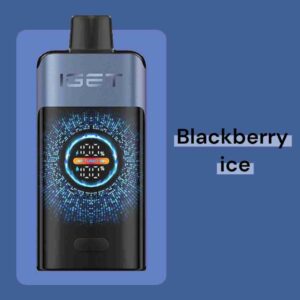 IGET One - Blackberry Ice