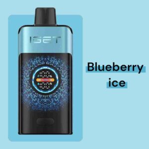 IGET One - Blueberry Ice